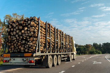 Long heavy industrial wood carrier cargo vessel truck trailer with big timber pine, spruce, cedar...
