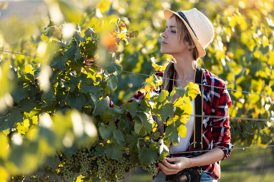 Young woman with hat standing at vineyard