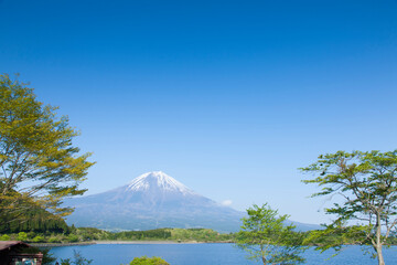 新緑の頃の田貫湖と富士山
