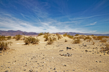 sand dunes in the desert