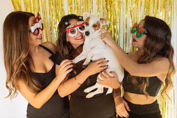 Three beautiful girls in a decorated room. Ladies with dog