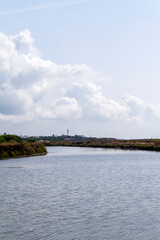 Campo, planta, flor, rio y agua en parque natural del Río Piedras y Flecha del Rompido en Cartaya, Huelva, Andalucia, España
