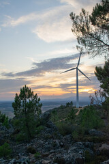 
Vertical shot of a windmill surrounded by greenery under a blue cloudy sky in the evening