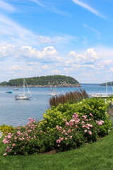 Bar Harbor Maine Summer Afternoon