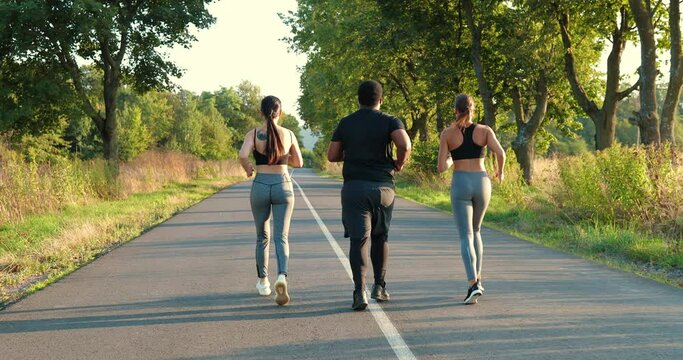 Rear of young mixed-races people working out outdoor. Asian and Caucasian women doing exercises and running on road with African American male. Fitness training on nature. Back view. Sport concept