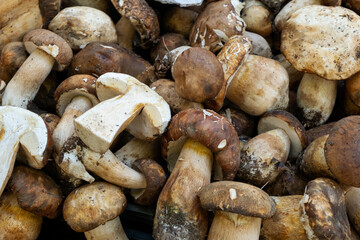 Fresh porcini mushrooms on the local market.  top view. vegan vegetarian food