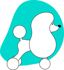 dog illustration grooming spa poodle