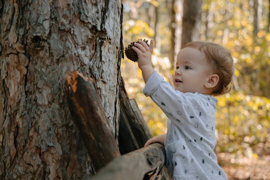 Little boy playing in the woods