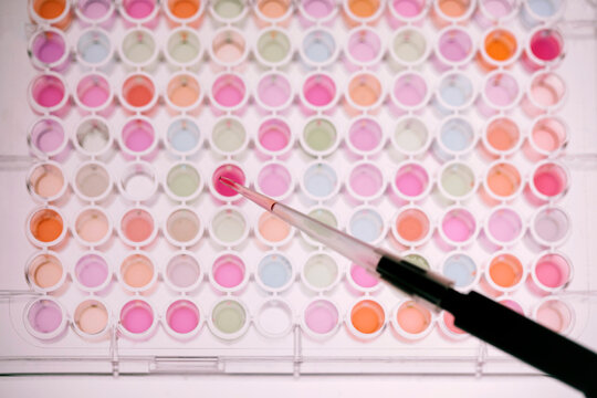 Working in laboratory