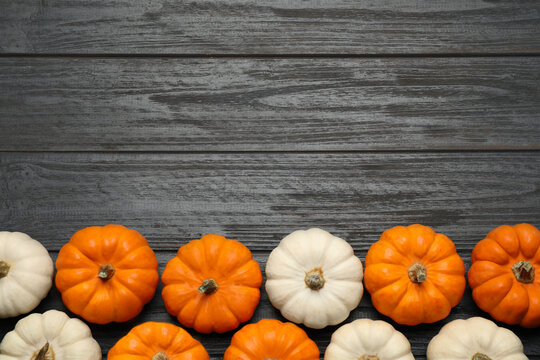 Different ripe pumpkins on black wooden table, flat lay. Space for text