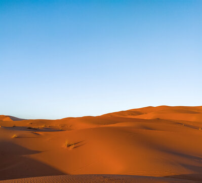 Sahara desert at sunset