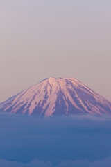 Fototapeta premium 甘利山からの富士山