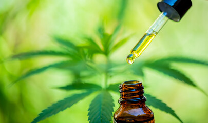 Cannabis leaves Cannabis pills THC CBD Cannabis, Cannabis products, Medical marijuana The concept...