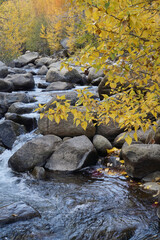 Scenic landscape view of trees with golden fall colors framing a river with large boulders
