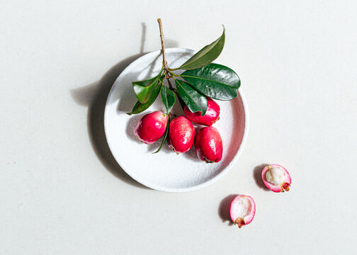Lilly Pilly (Myrtaceae or Monkey Apple) on white ceramic plate
