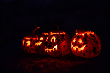 row of four carved bumpy pumpkin Jack O Lanterns lit by candles within at night