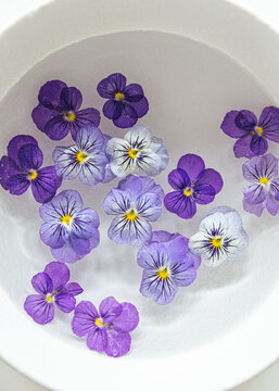 edible violets flowers soaking in water in ceramic bowl