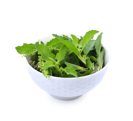 Holy Basil,Ocimum sanctum isolate on white