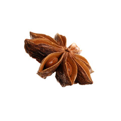 Dry anise star isolated on white. Mulled wine ingredient