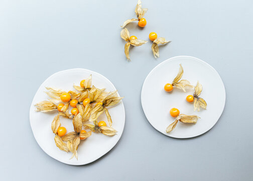 still life of gooseberry on white ceramic plate