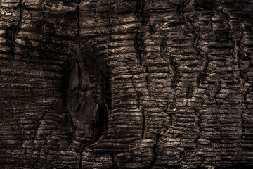 burned wood texture