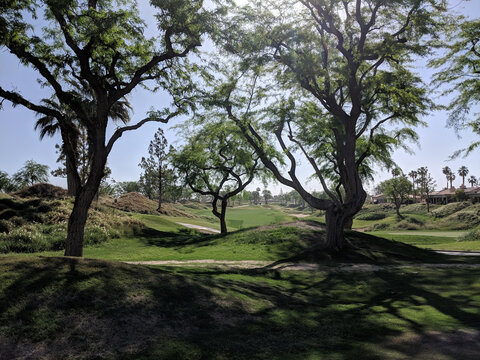 a view of a golf course between the trees