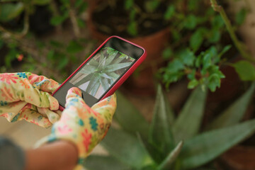 Woman taking picture of her cactus