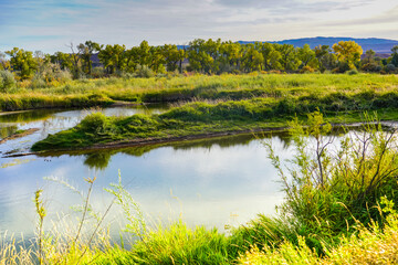 Beautiful Pond and Green area