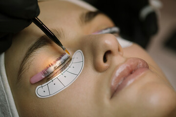 Young Woman Getting Natural Eyelash Treatment