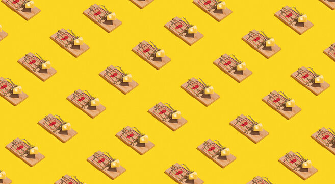 Mouse Trap Mechanism / Still Life