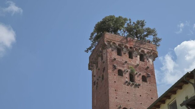 Escaping home life. Italy, Lucca: the Guinigi tower, on the top has a small wood. Concept of escape and freedom. Visitors can be glimpsed among the tree branches. Blue sky with white clouds.