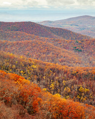 The Priest Wilderness landscape in autumn is a U.S. Wilderness Area in the Glenwood, Pedlar Ranger District of the George Washington and Jefferson National Forests.