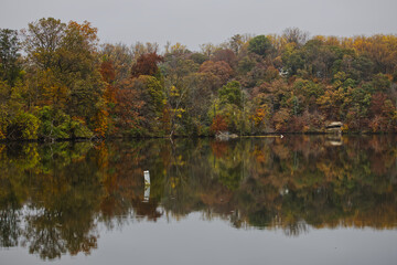 autumn trees reflected in water in Roland Lake Park in Baltimore Maryland usa 