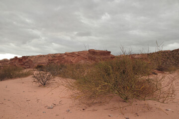 Red canyon. View of the arid desert, red sand, shrubs bushes, sandstone and rocky formation under a...
