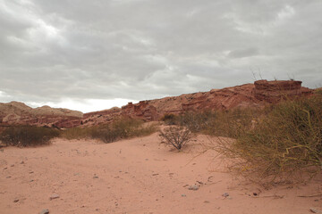 Red canyon. View of the arid desert, red sand, shrubs bushes, sandstone and rocky formation under a cloudy sky.