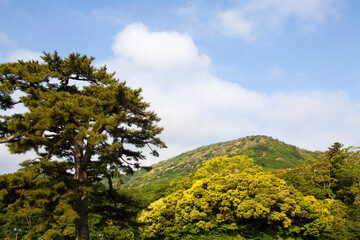 神路山(かみじやま)