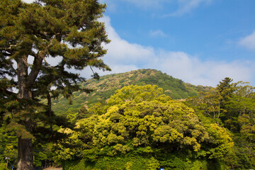 神路山(かみじやま)