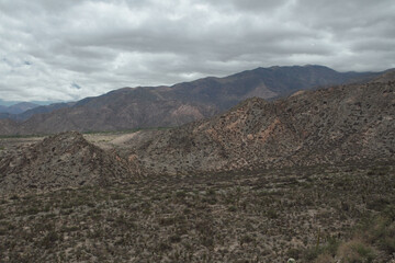 Desert landscape. Natural texture. View of the arid land, mountains and desert flora.
