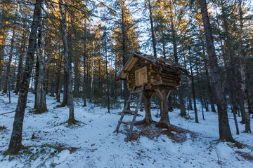The pristine nature of the Zeya reserve. A wooden hut mounted on high piles to protect against a bear