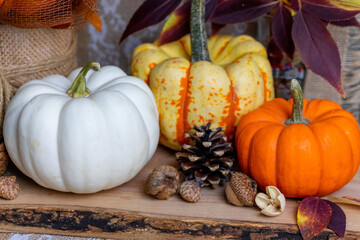 pumpkins and autumn leaves