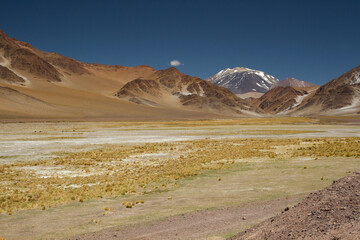 Plakat The Andes mountain range. Panorama view of the yellow meadow, the brown mountains, golden valley and Volcano Incahuasi, under a deep blue sky.