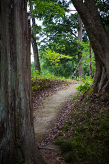 弘川寺境内の道