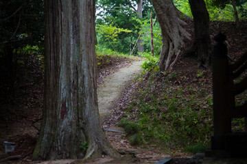 弘川寺境内の道