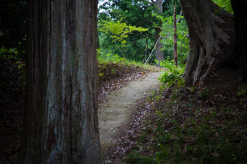弘川寺境内の道