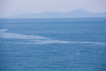 Obraz premium 宝厳寺から見た琵琶湖