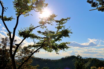 秋の山　日差し　風景