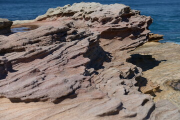 The rocky shore in Sydney, Australia
