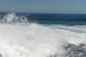 Fototapeta premium Maroubra beach in the sunny day in Sydney, Australia