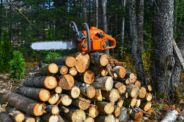 Chainsaw with woodpile of cut logs in background in forest