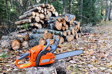 Chainsaw with woodpile of cut logs in background in forest